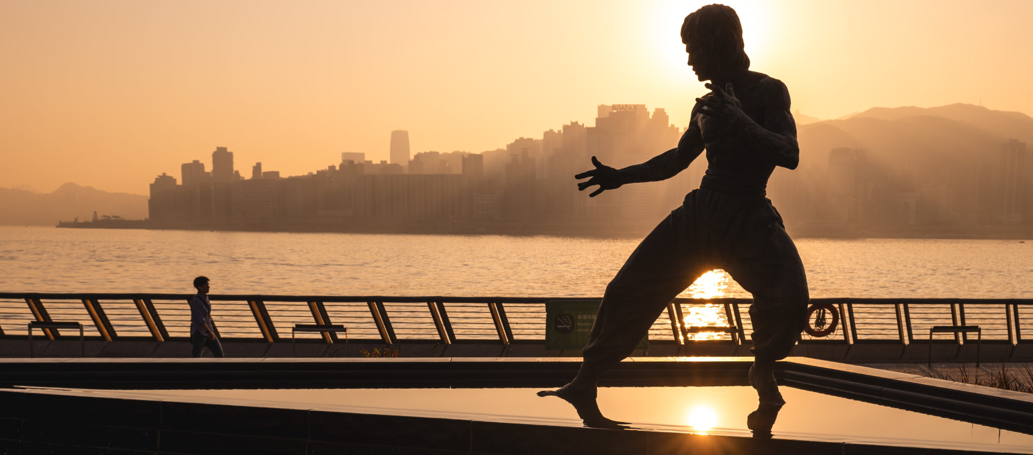 Are you as calisthenics fit as Bruce Lee?