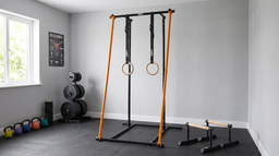 Calisthenics Home Gym