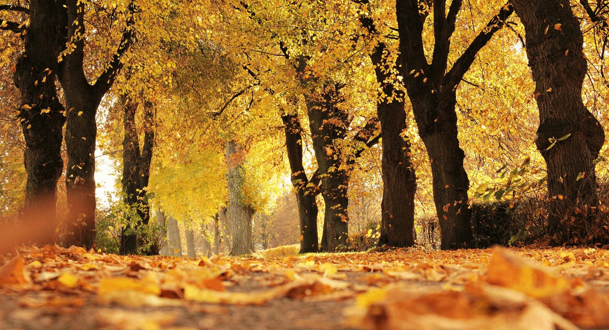 Is Autumn the Best Season for Outdoor Training?