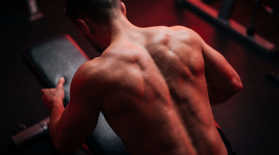 Get Sexy Back Muscles With Calisthenics Using These Training Rules