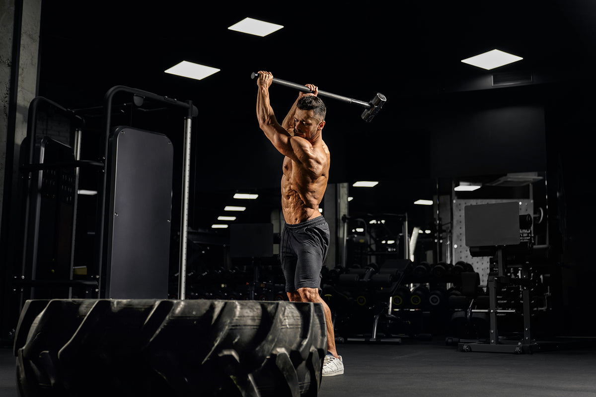 Können Sie für Kraft und Ausdauer trainieren? - Gravity Fitness Equipment