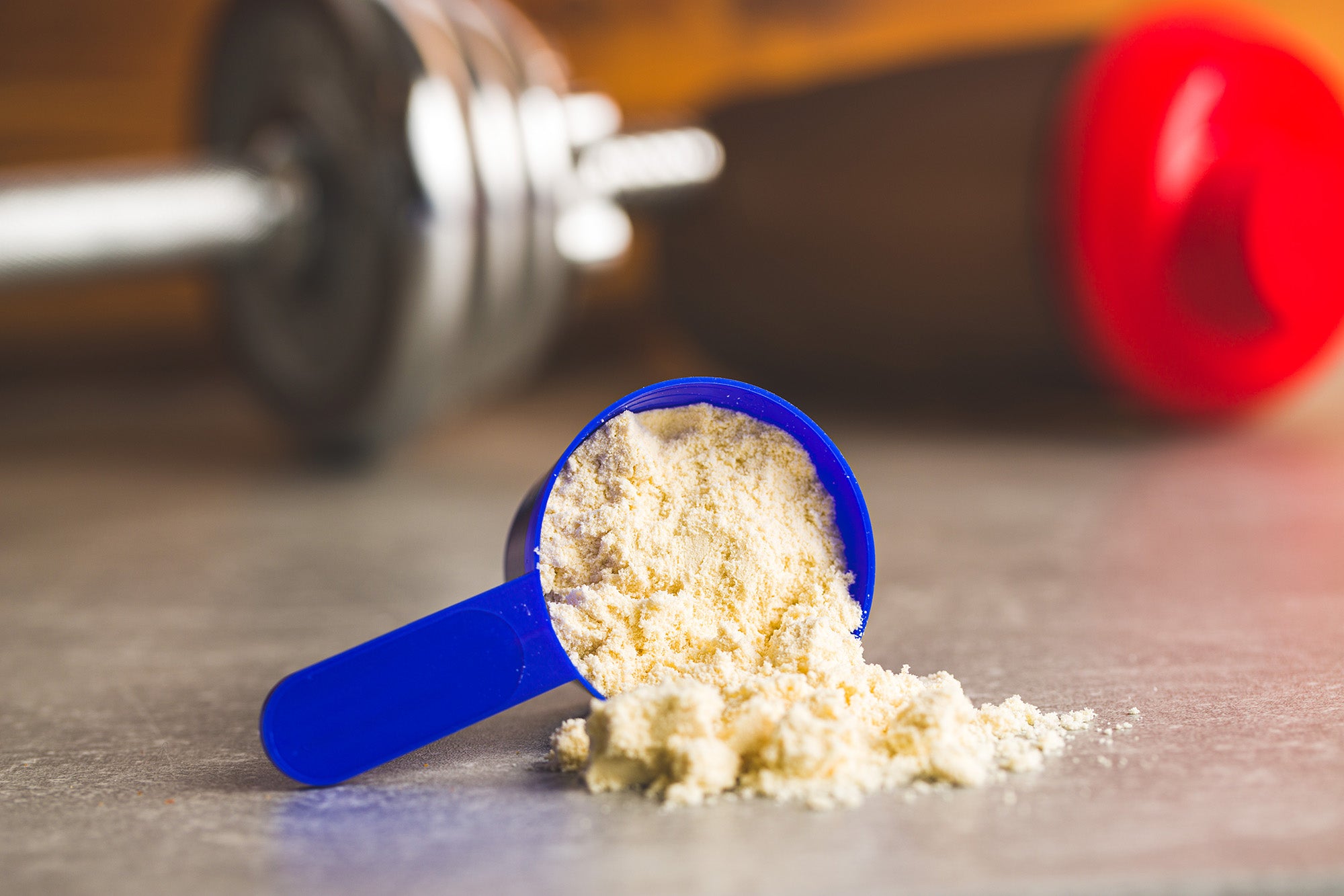 Whey Protein vs Pea Protein – Which Is Best?