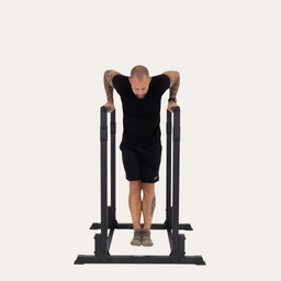 Gravity Fitness Freestanding Dip Bars