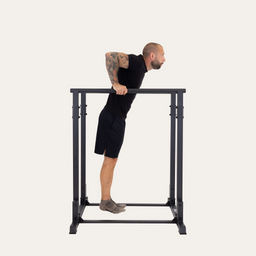 Gravity Fitness Freestanding Dip Bars
