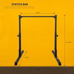 Barre statique de Gravity Fitness