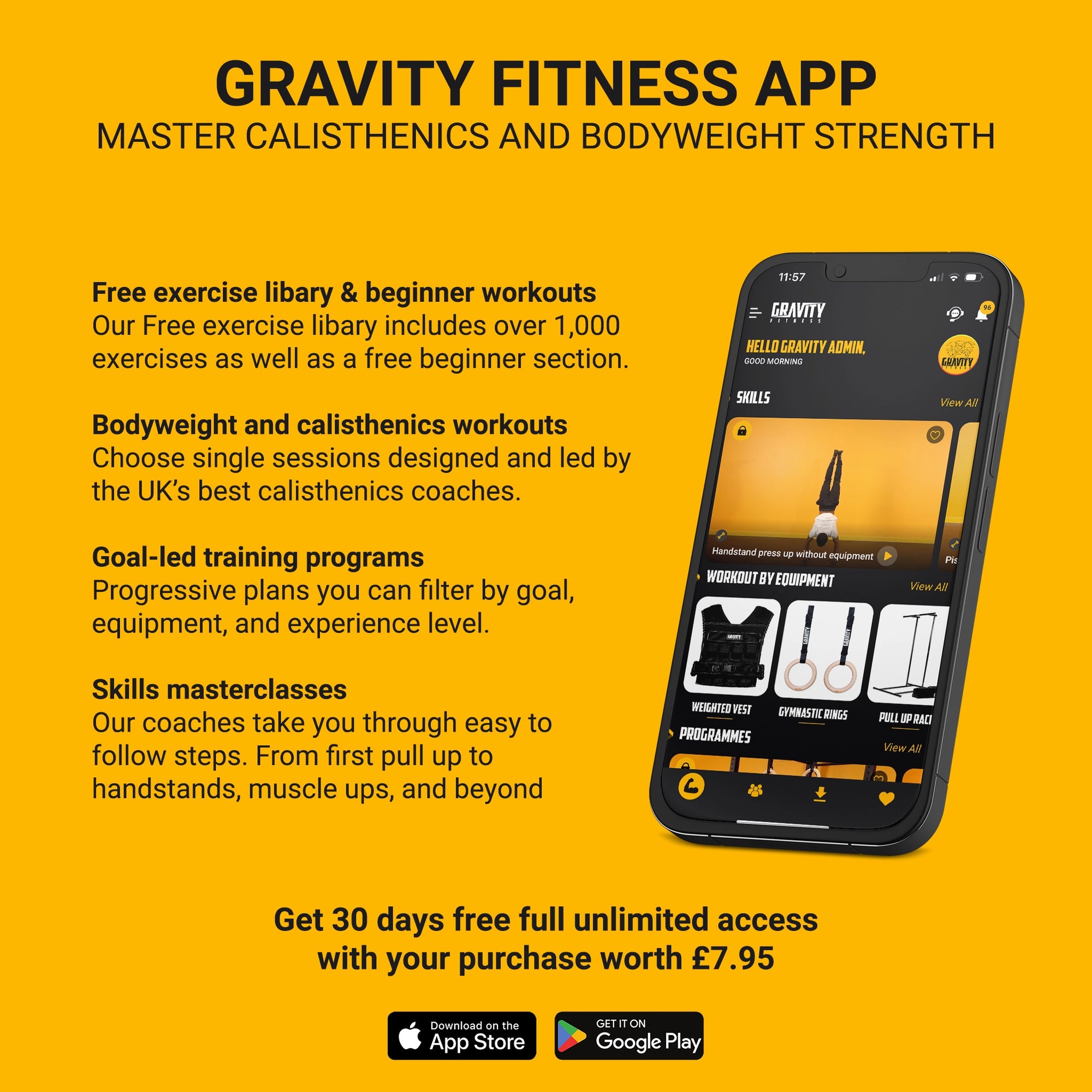 Gravity Fitness Advanced 4 in 1  Heavy Duty Workout/Dip Belt