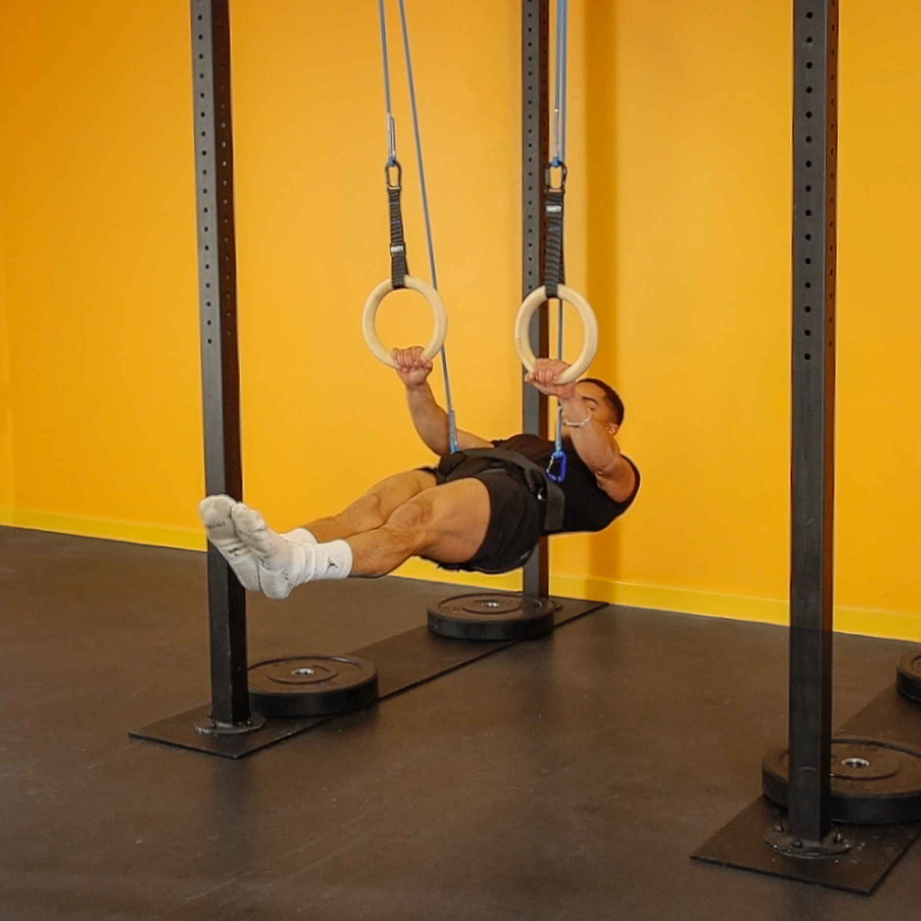 Gravity Fitness Assisted Calisthenics & Gymnastic Rings System