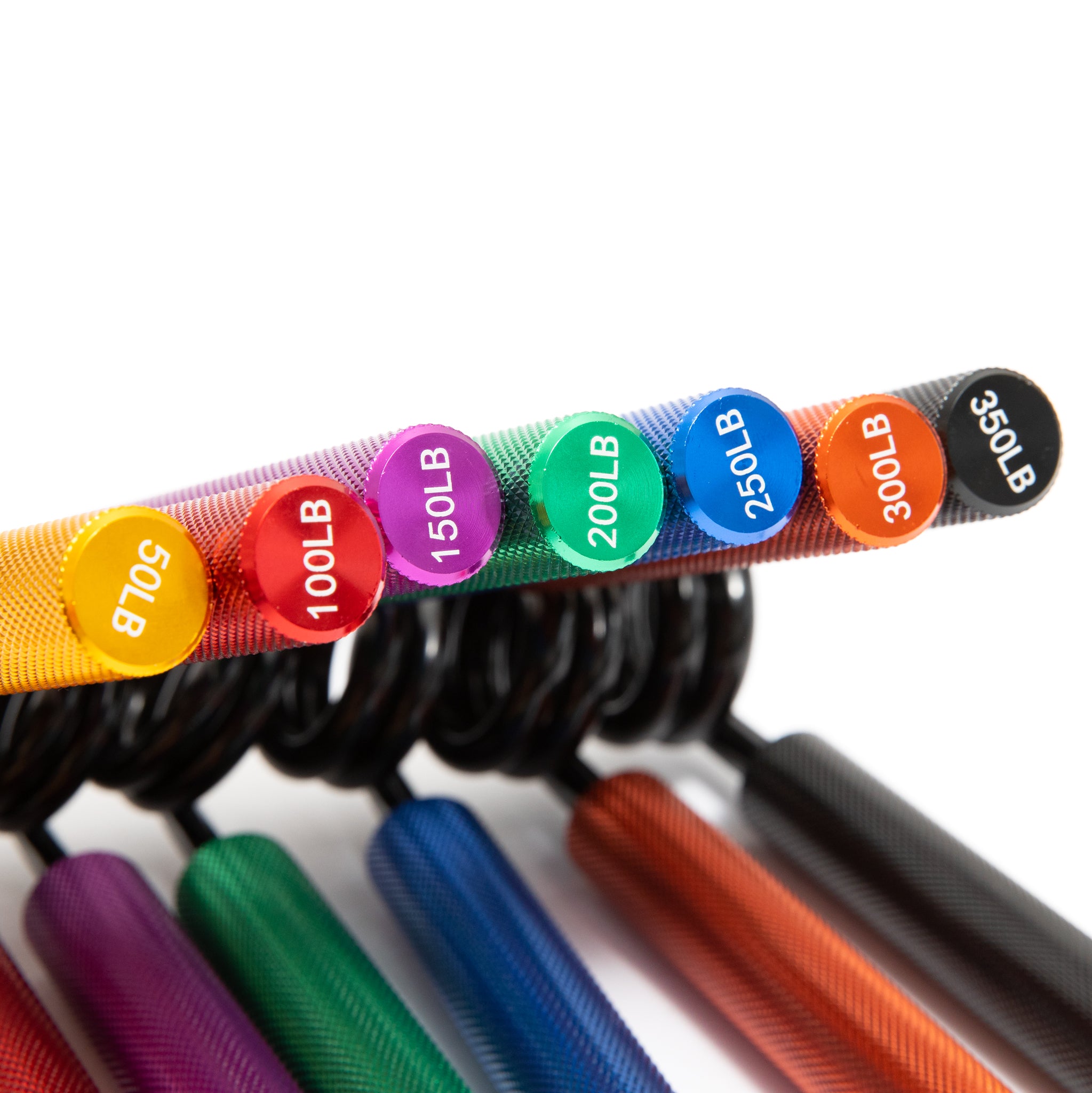 Fitness de gravedad "Guerrera Guerrera" Entrenadores 50 lb - 350 lb