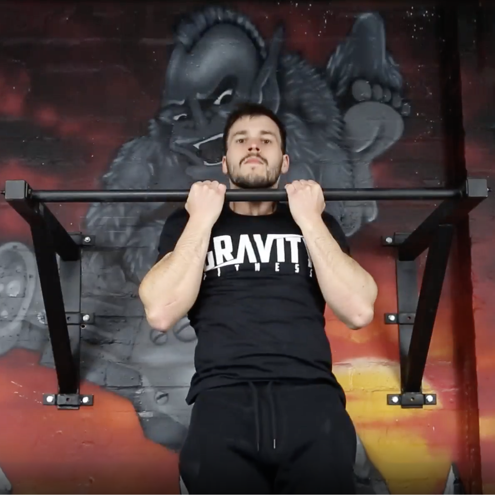 Gravity Fitness Wall Mounted Pull Up Bar Gravity Fitness Equipment